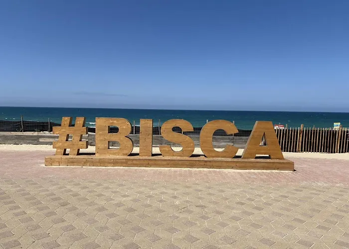 Cosy Avec Terrasse Pour 4 Personnes A - Fr-1-831-4 Apartamento Biscarrosse