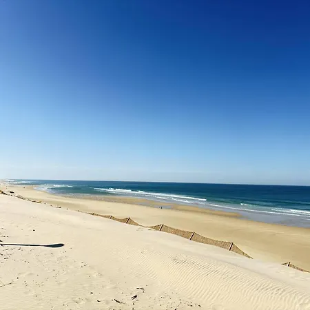 Cosy Avec Terrasse Pour 4 Personnes A - Fr-1-831-4 Biscarrosse