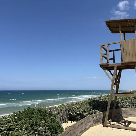 Cosy Avec Terrasse Pour 4 Personnes A - Fr-1-831-4 아파트 *