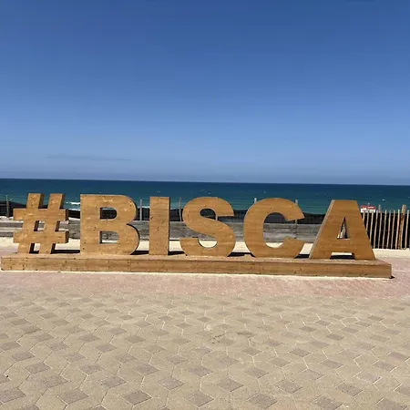 Cosy Avec Terrasse Pour 4 Personnes A - Fr-1-831-4 아파트 비스카로세